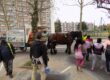 Collecte à Cheval - R2gie des Quartiers de Rouen