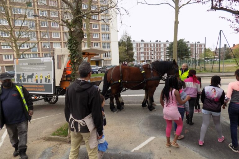 Collecte à Cheval - R2gie des Quartiers de Rouen