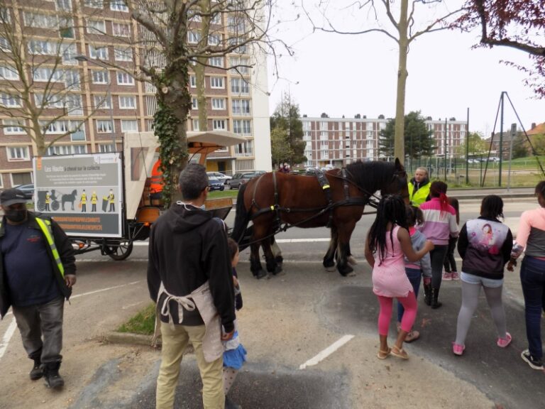Collecte à Cheval – R2gie des Quartiers de Rouen Collecte à Cheval - R2gie des Quartiers de Rouen