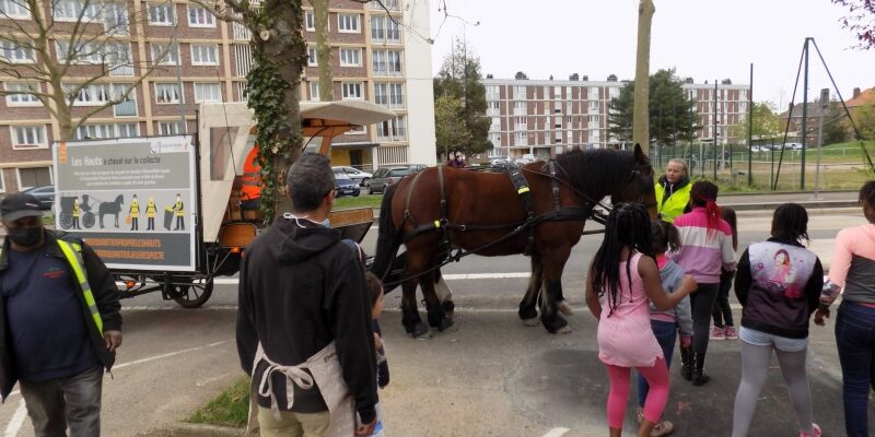 Collecte à Cheval - R2gie des Quartiers de Rouen