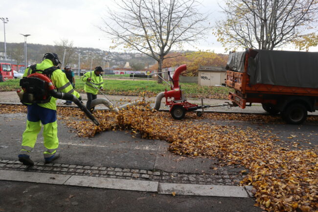 La saison des feuilles à la Régie des Quartiers de Rouen La saison des feuilles à la Régie des Quartiers de Rouen